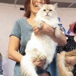 5f63fdbc-c926-422f-9725-406b895b6654