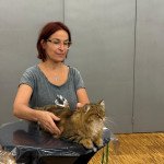 Greta Colour Foot (CACIB) à l'expo