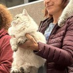 Agrippa The Dream Iscaya à l'expo