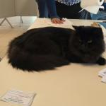 Wyoming table expo