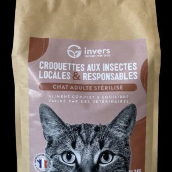 croquettes