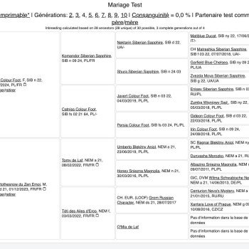 Chaton Sibérien  Chatterie du ZenÉmoi